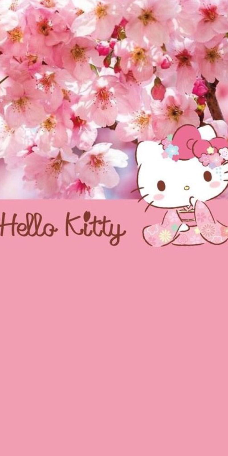 Hello kitty, themes, HD phone wallpaper | Peakpx