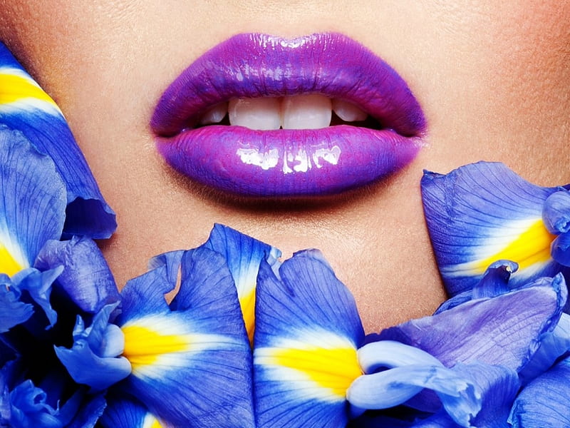 Purple, flower, yellow, lips, lipstick, blue, iris, HD wallpaper