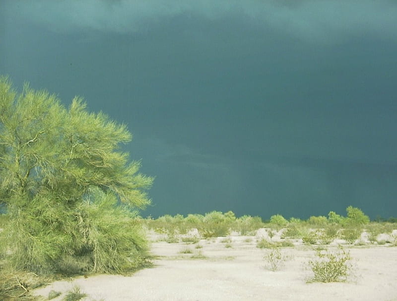 Arizona Monsoon Storm, monsoon, desert, storm, arizona, HD wallpaper