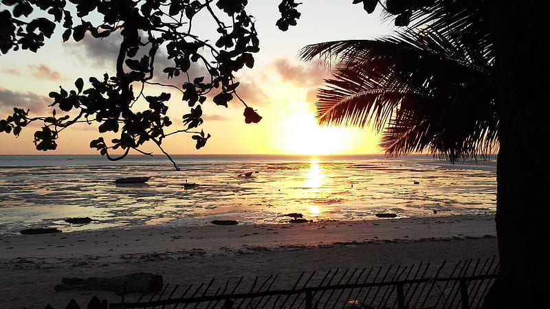 Jambiani beach sunrise, Zanzibar, Beach sunrise, Low tide, Africa, zanzibar, HD wallpaper