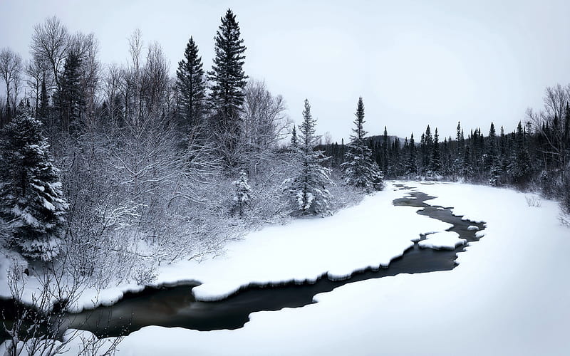 Monts-Valin, Québec, Canada, ice, river, snow, canada, trees, HD wallpaper