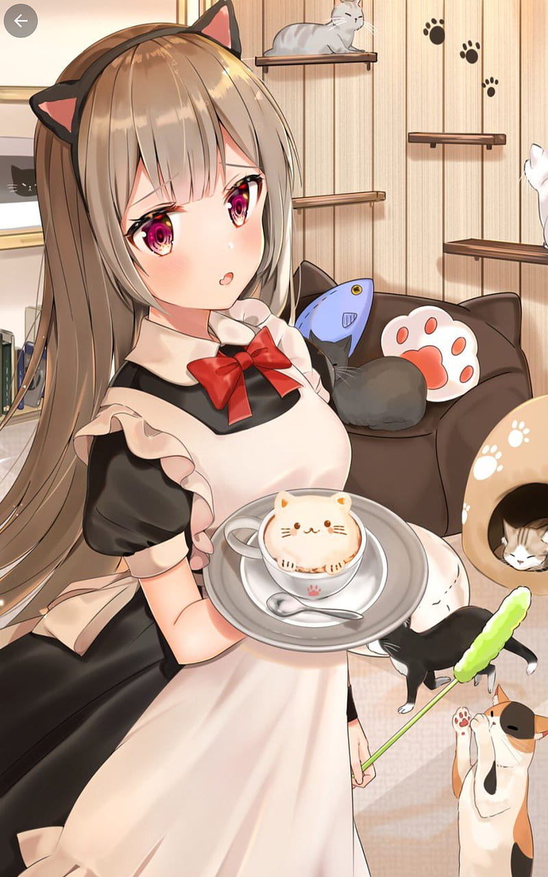 Anime CAT Cafe, girl, neko, HD phone wallpaper