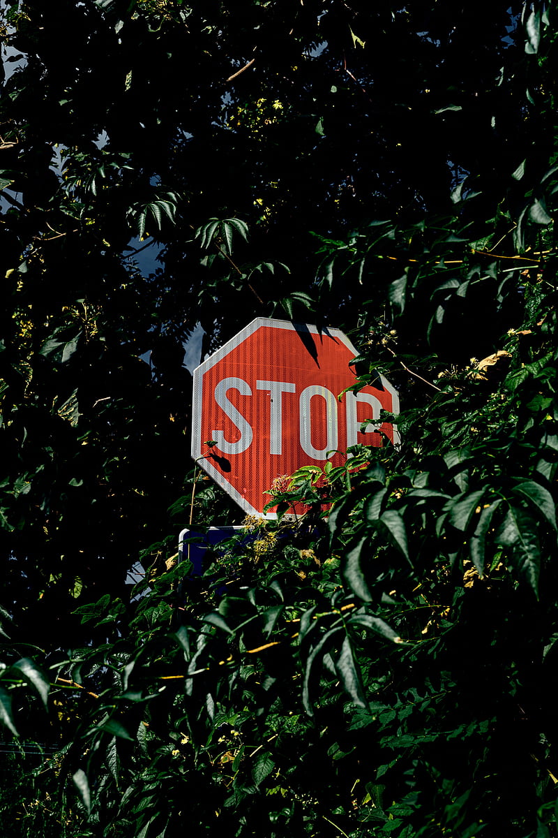 sign, stop, caution, inscription, bushes, trees, HD phone wallpaper