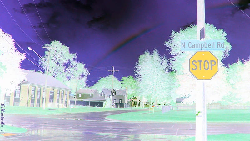 A Rainbow In Winter, co1orful, Stop Sign, rainbow, trees, sky, purp1e, violet, rain, road, Traffic Signals nSigns, HD wallpaper