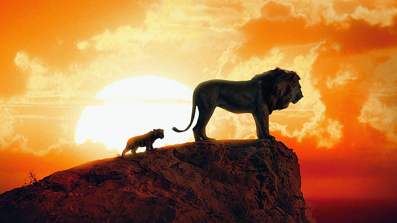 The Lion King New Poster, the-lion-king, lion, 2019-movies, movies, disney, HD wallpaper