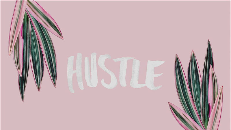 Hustle In Pink Background Indie, HD wallpaper