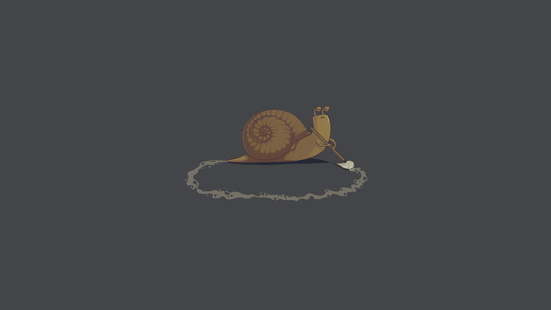 Snail cleaning, Snail, Hygene, Brush, Cleaning, HD wallpaper