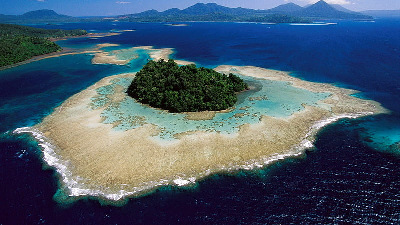 galapagos islands, galapagos, tree, islands, ocean, HD wallpaper