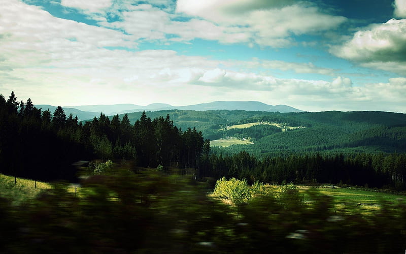 motion blur-forest landscape, HD wallpaper