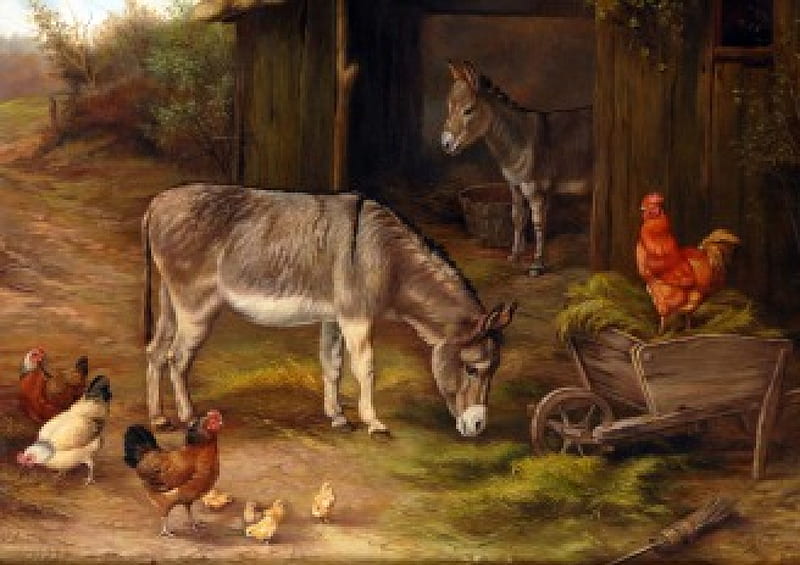 Working Farm, farm, donkey, chicken, animals, working, HD wallpaper
