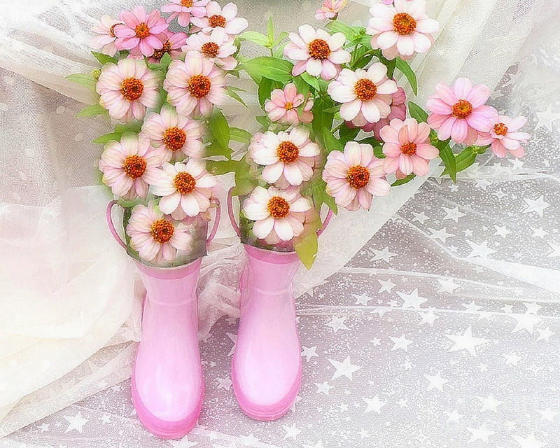 Bloom with Pink Rain Boots, pretty, chic, softness beauty, bonito, sweet, Valentines, graphy, love, pink, blooms, stars, rain boots, lovely, holiday, colors, love four seasons, beloved valentines, HD wallpaper