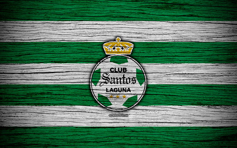 Santos Laguna FC Liga MX, football, Primera Division, soccer, Mexico, Santos Laguna, wooden texture, football club, FC Santos Laguna, HD wallpaper