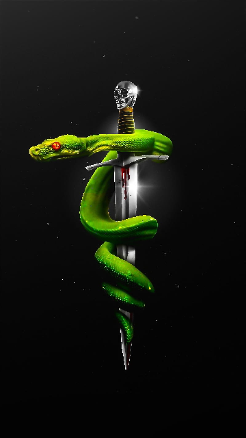 Green snake, sword, symbol, skull, shining, HD phone wallpaper