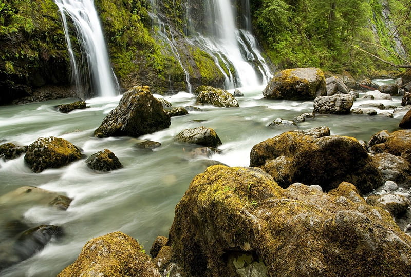 Blue river, forest, landscape, nature, rocks, trees, water, yellow