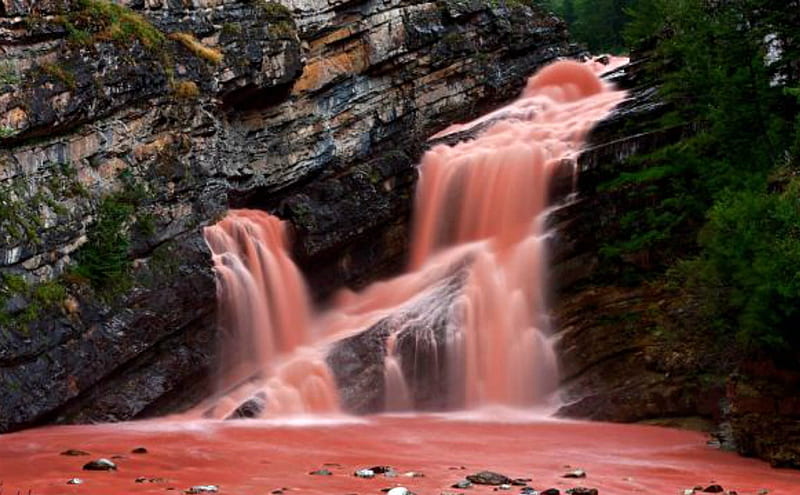 Cameron Falls, Waterton Nat'l. Park, Alberta, Park, Red, Waterfall, Canada, HD wallpaper