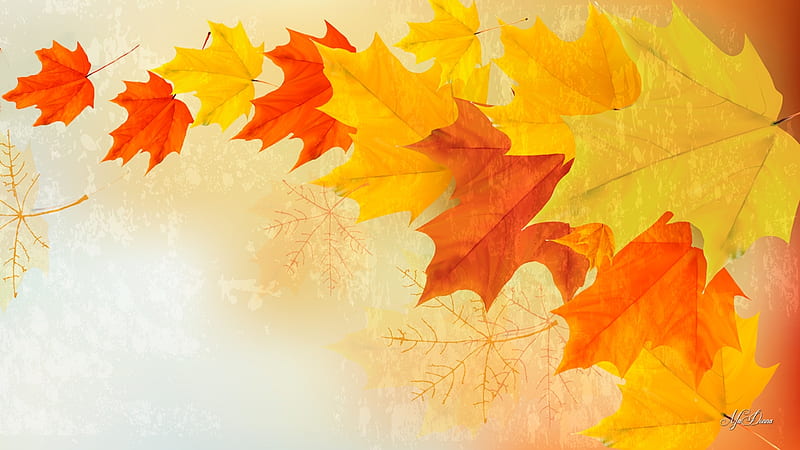 Forever Falling Leaves, fall, autumn, orange, maple, falling, wind, leaves, gold, blowing, nature, Firefox Persona theme, HD wallpaper