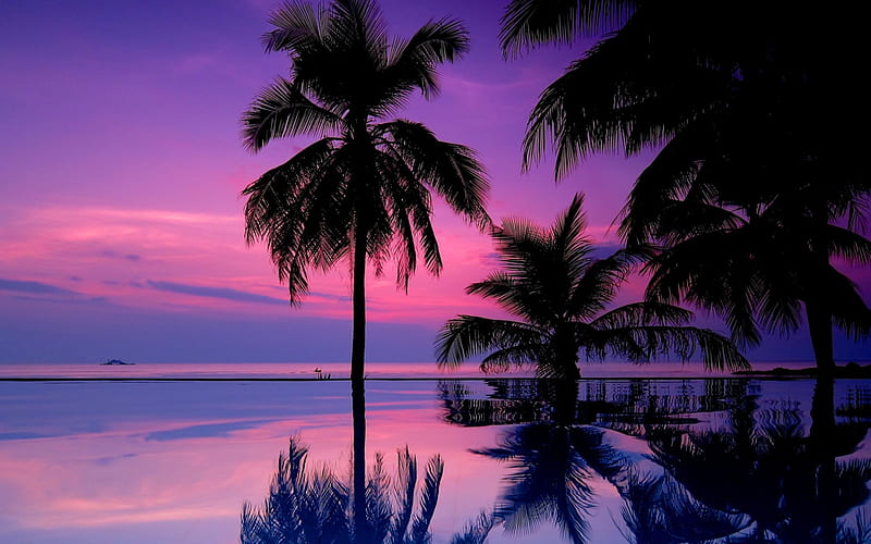 Time for reflection, shore, exotic, clear, dusk, sunset, palms, mirrored, beach, sundown, p alm trees, purple, nature, crystal, reflection, tropics, tropical, HD wallpaper