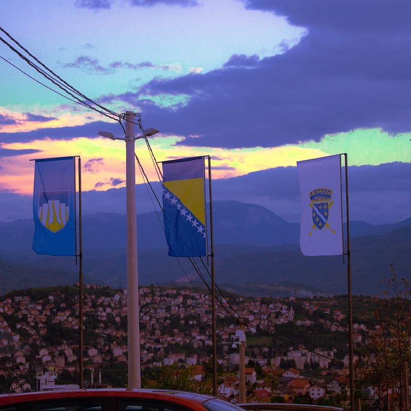 Bosna, zuc, HD phone wallpaper