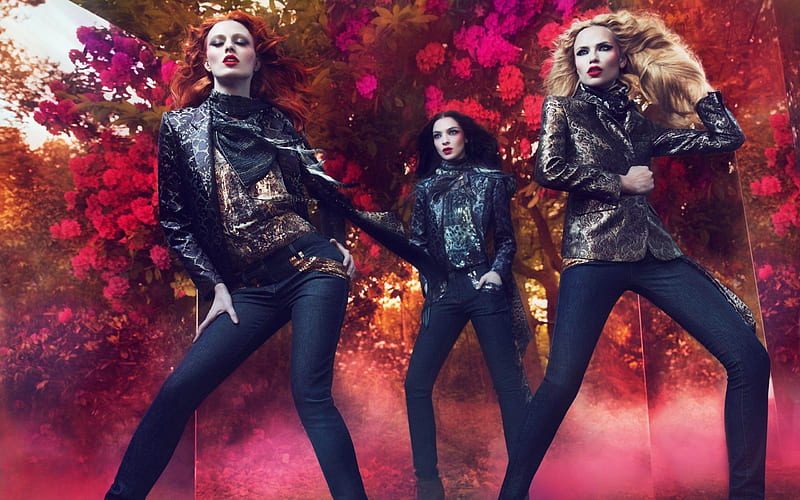 roberto cavalli -Brand advertising, HD wallpaper