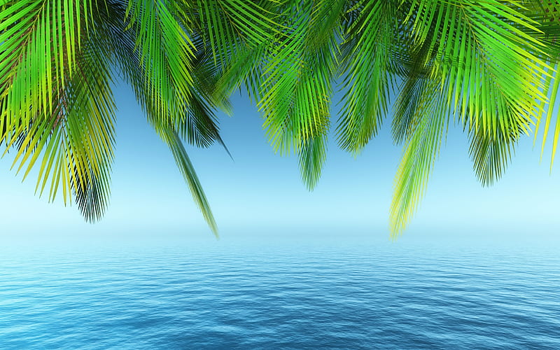 palm branches sea, paradise, 3D art, creative, recreation concepts, palm frame, palms, HD wallpaper