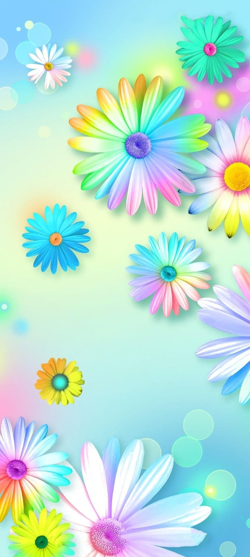 Colorful streamer daisy in 2022. Love pink, Flower background, Flower ...
