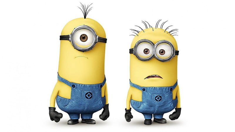 MOVIES BEST, BEST, LITTLE, YELLOW, MONSTER, MOVIES, HD wallpaper