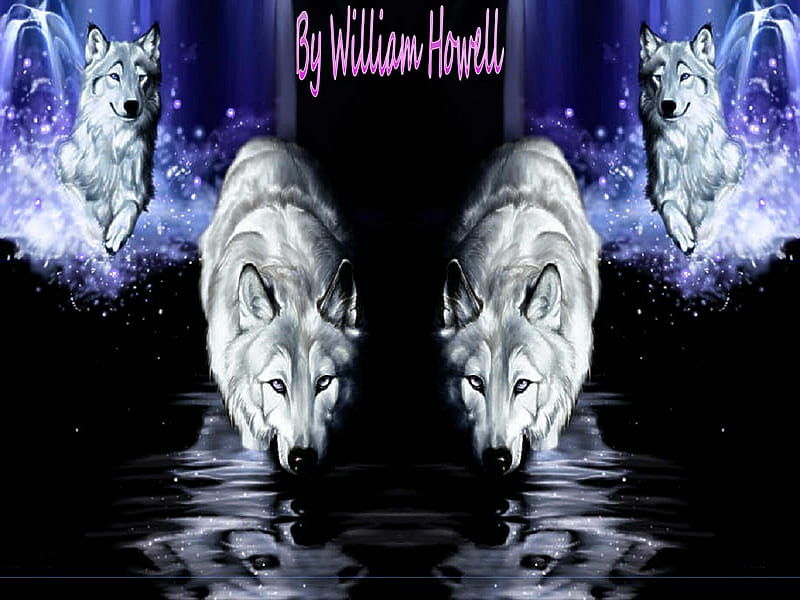 Silver Wolves II, wolf, wolves, animals, wild, HD wallpaper