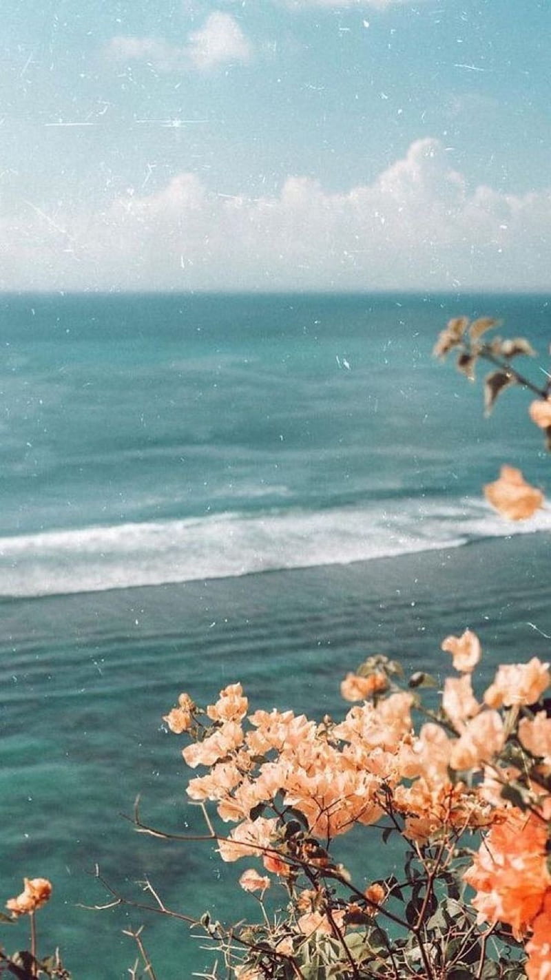 Vintage Aesthetic, 90s, aesthetic, beach, flower, retro, sea, seaside,  sunsets, HD phone wallpaper | Peakpx