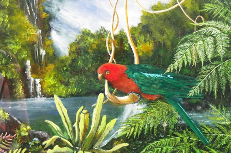 King Parrot, stream, art, ferns, australia, trees, HD wallpaper