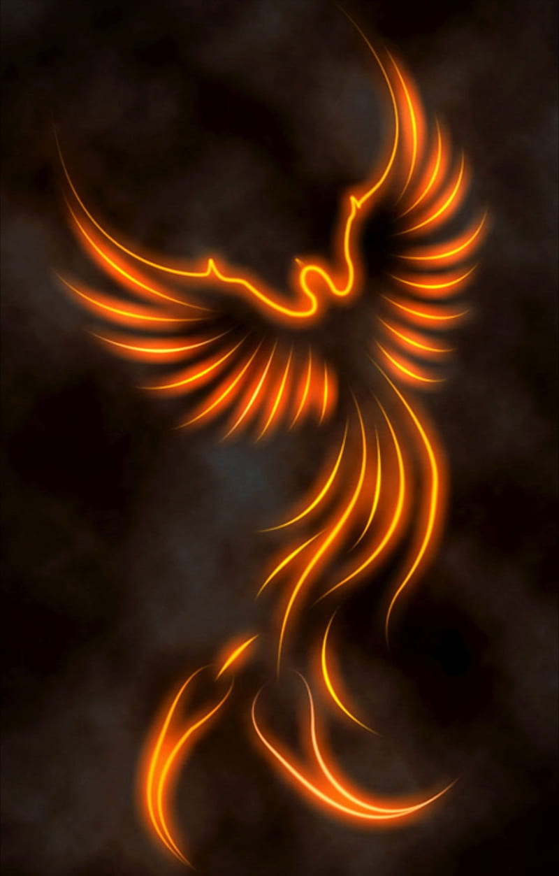 Angel, bird, fire, HD phone wallpaper