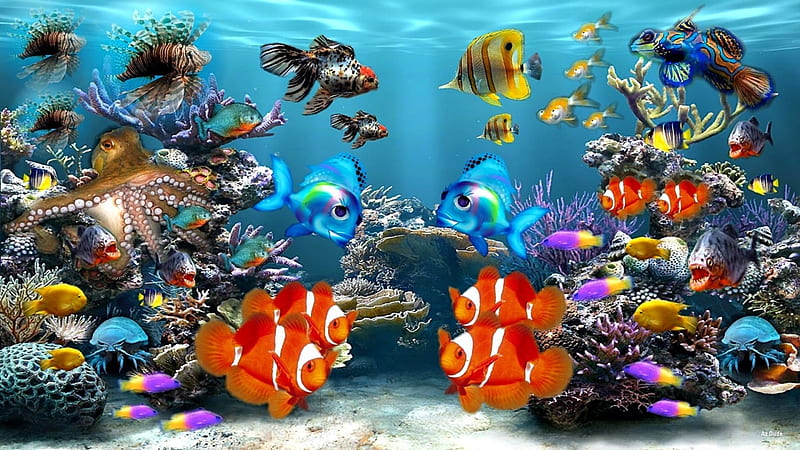 Colorful aquarium, Aquarium, Colorful, Fisch, Animals, HD wallpaper