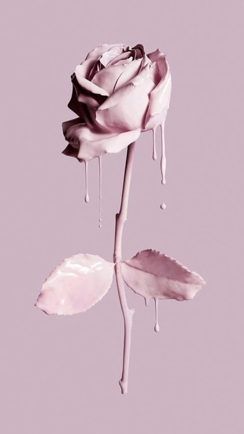 Rosa pastel, flor, pintura, rosa, Fondo de pantalla de teléfono HD | Peakpx