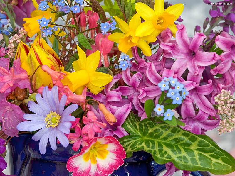 Belleza floral, orquídeas, ramo, narcisos, flores silvestres, flores,  colores, Fondo de pantalla HD | Peakpx