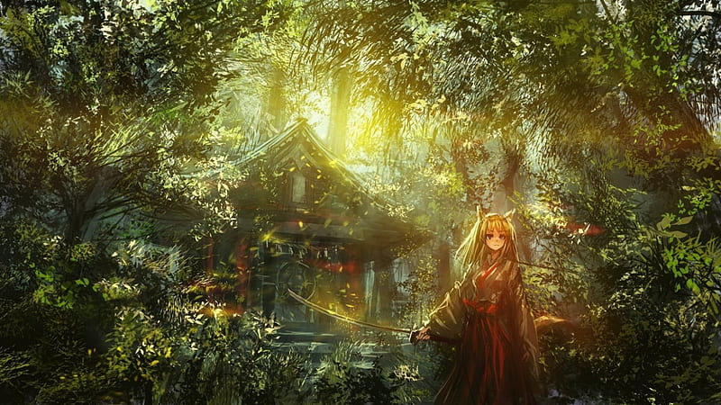 Shrine, forest, fox, maiden, HD wallpaper