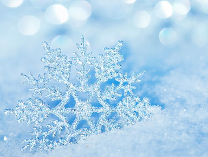 Snowflake, frozen, snow, winter, HD wallpaper | Peakpx