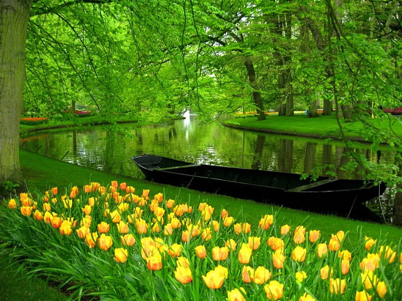 Green morning, pretty, riverbank, shore, grass, yellow, canoe, bonito, nice, calm, boat, green, flowers, river, tulips, morning, reflection, harmony, forest, lovely, park, creek, trees, lake, waters, benches, summer, nature, lakeshore, HD wallpaper