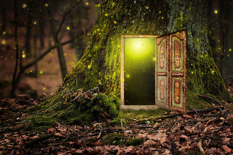 Magical doorway, forest, fantasy, magical, fairytale, bonito, enchanted, door, light, magic, HD wallpaper