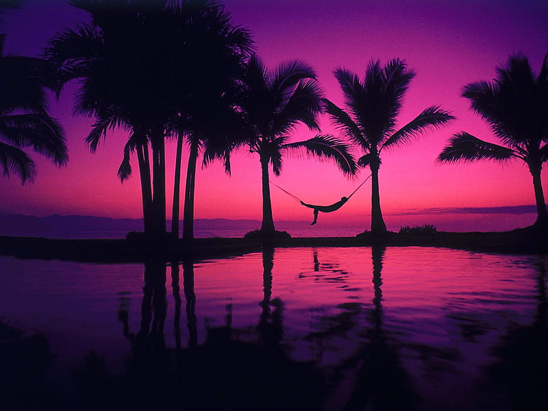 Purple sunset, Water, Purple, Hammock, Trees, HD wallpaper