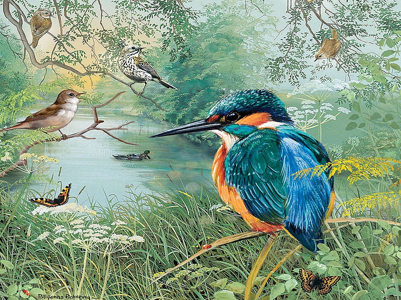 Nature Reserve, kingfisher, plants, pond, art, digital, birds, HD wallpaper
