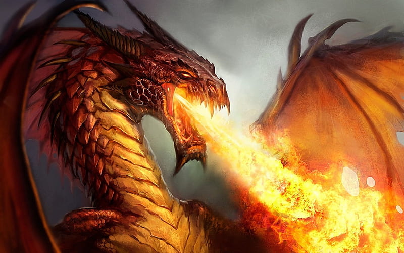 dragon, fire, breathing, wings, HD wallpaper