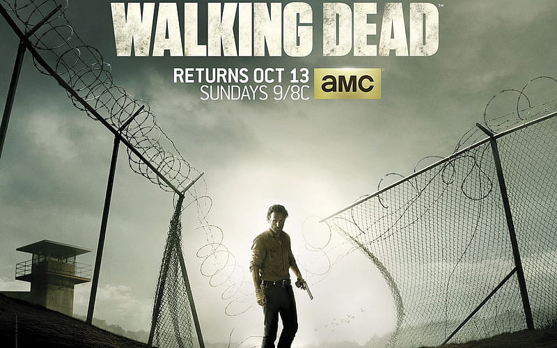 The Walking Dead , the-walking-dead, tv-shows, HD wallpaper