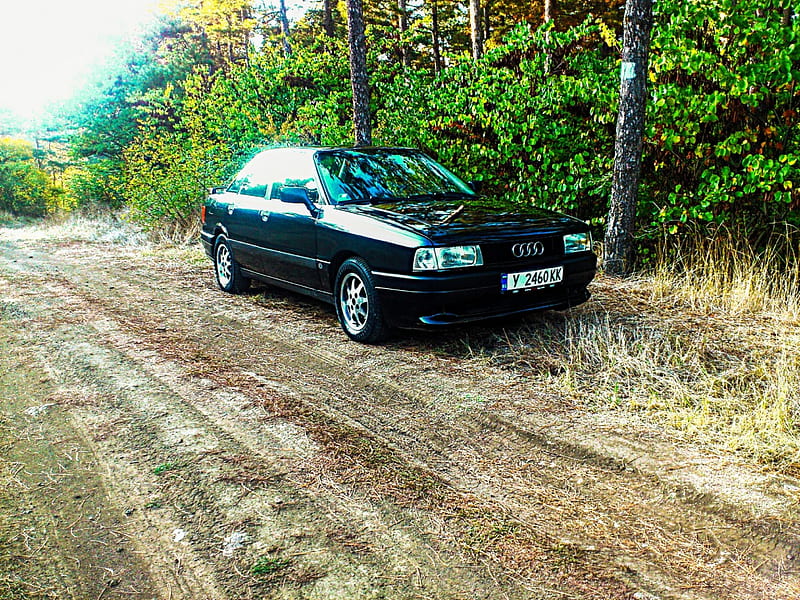Audi 80 Sport Edition, 80, bakadjik, 16v, yambol, bulgaria, sport edition, audi, HD wallpaper