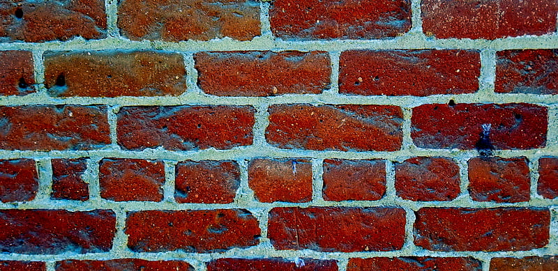 No Dark Sarcasm, brick wall, pink floyd, red bricks, HD wallpaper