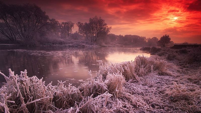 Frosty Sunset in England, ice, river, trees, colors, landscape, clouds, sky, HD wallpaper
