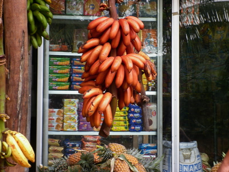 Banana's in Sri Lanka, banana split, graphy, yum yum, colourful, HD wallpaper