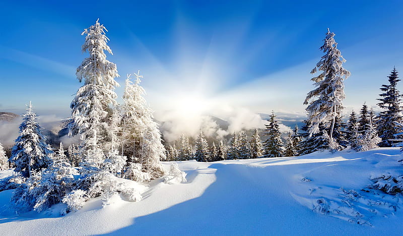 Sunny winter day, winter, mountain, snow, sunny, day, bonito, sky, HD wallpaper