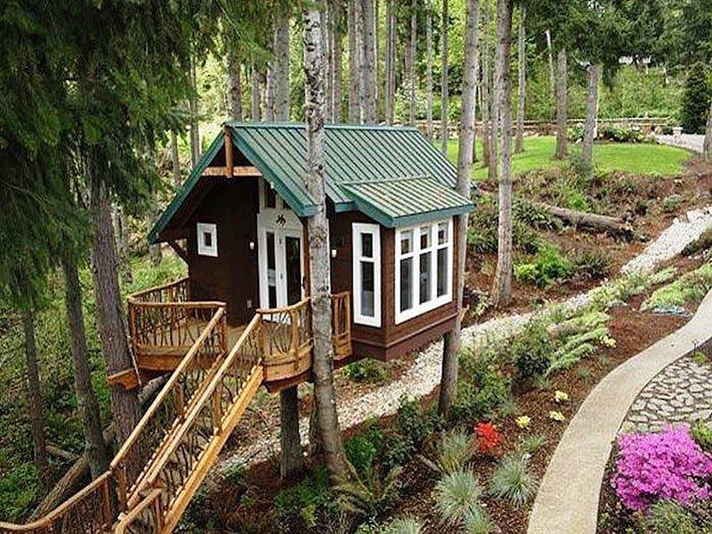 Perfect Little Treehouse, cute, playhouse, tree, house, little, climb, HD wallpaper