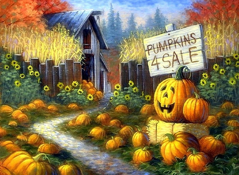 Pumpkin Patch, fall season, autumn, harvest, holiday, halloween, love four seasons, farms, attractions in dreams, barn, paintings, sunflowers, fields, pumpkins, HD wallpaper