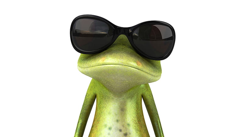 frog, sunglasses, sympathetic, Bohemia, bohemia, sunglasses, frog, sympathetic, HD wallpaper