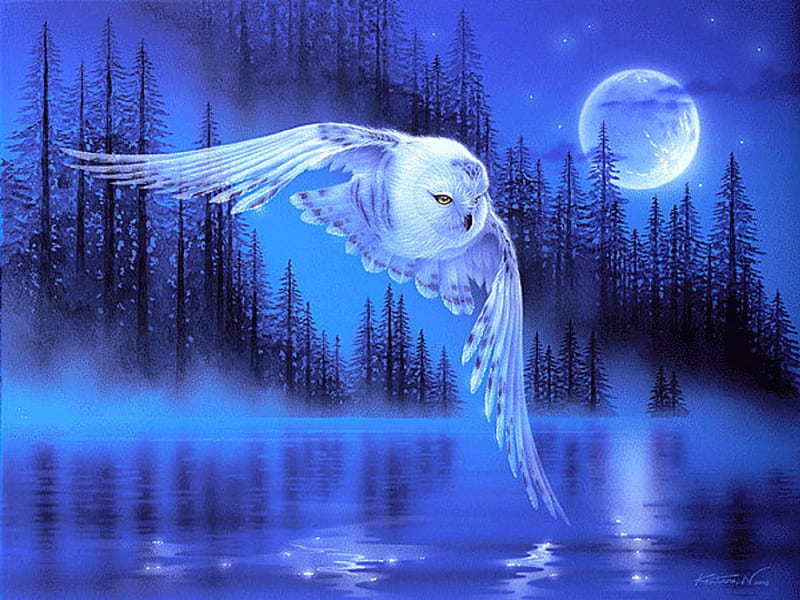 ★Silent Flight in Winter★, digital art, xmas and new year, paintings, landscapes, forests, scenery, animals, rivers, blue, moons, blue dreams, colors, love four seasons, creative pre-made, trees, winter, cool, snow, hawk, reflections, HD wallpaper